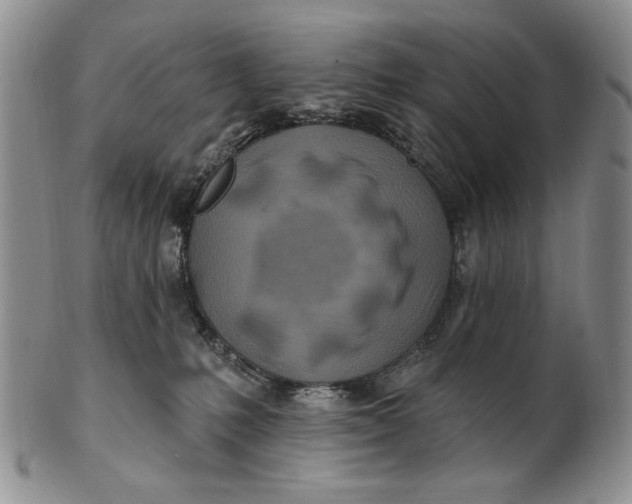 X0000100780231200807101824