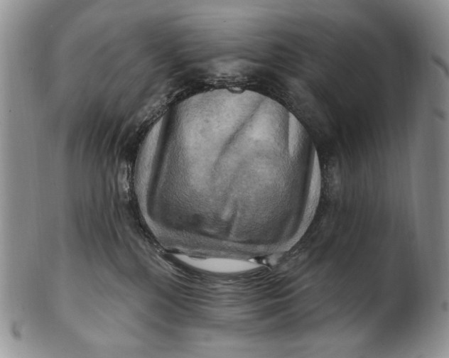 X0000100780232200807101824