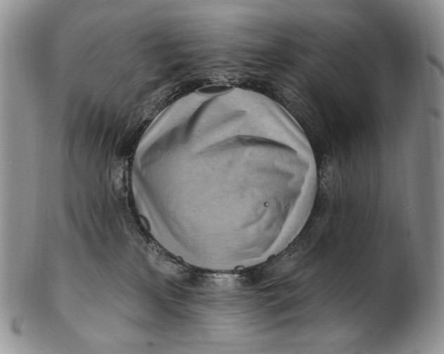 X0000100780233200807101824