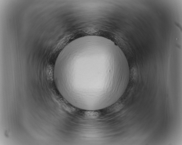 X0000100780234200807101824