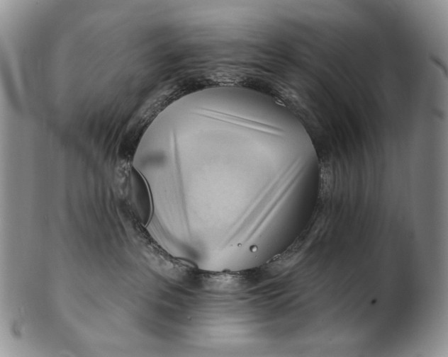 X0000100780237200807101824