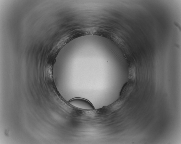 X0000100780238200807101824