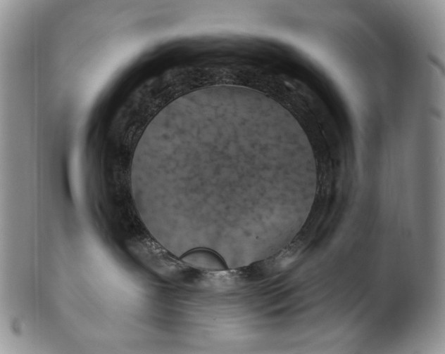 X0000100780239200807101824