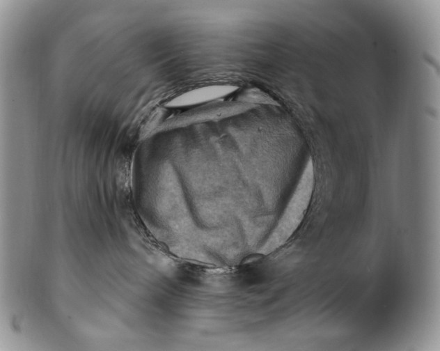X0000100780240200807101824