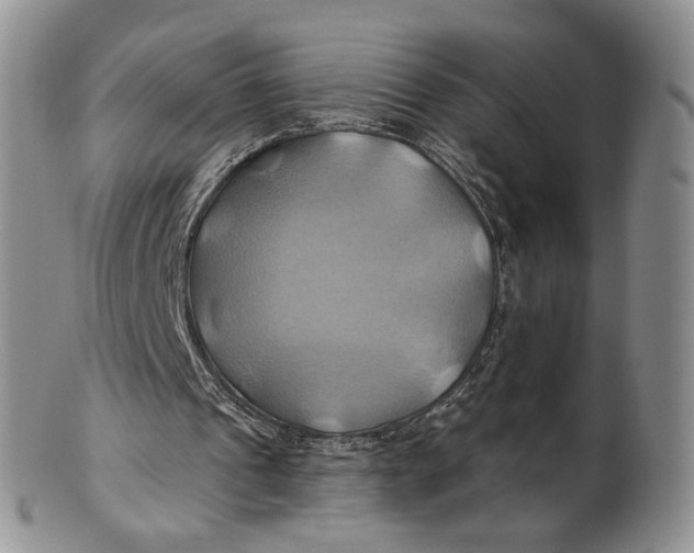X0000100780241200807101823