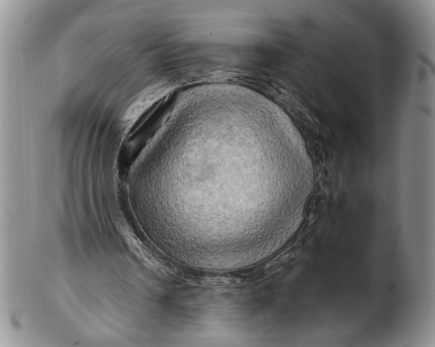 X0000100780242200807101823