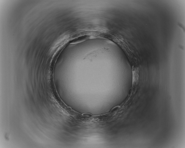 X0000100780243200807101823