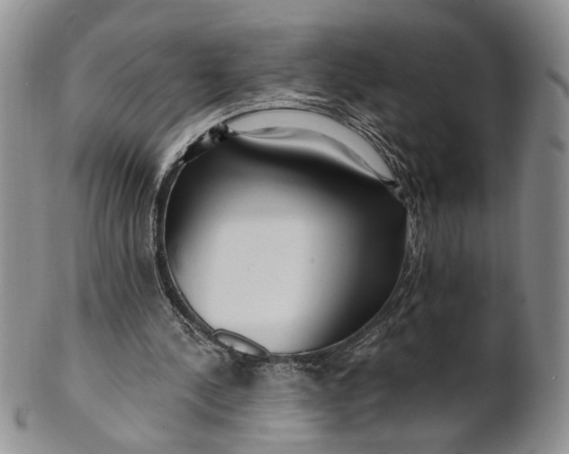 X0000100780244200807101823