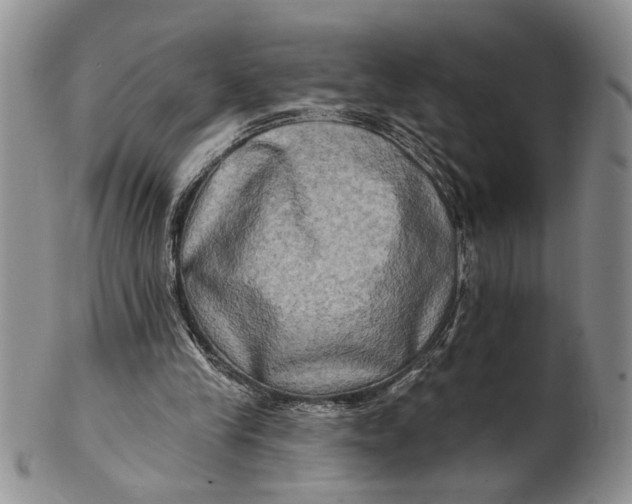 X0000100780245200807101823