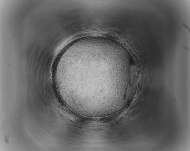 X0000100780246200807101823