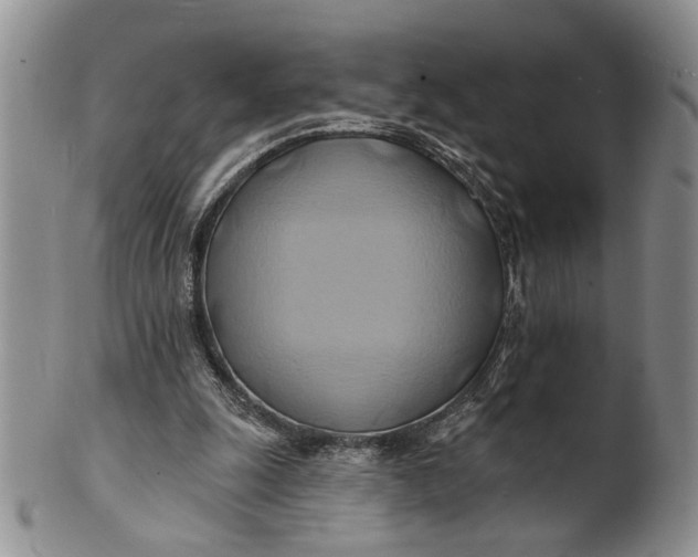 X0000100780247200807101823