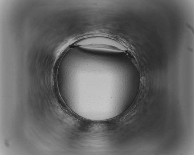 X0000100780248200807101823