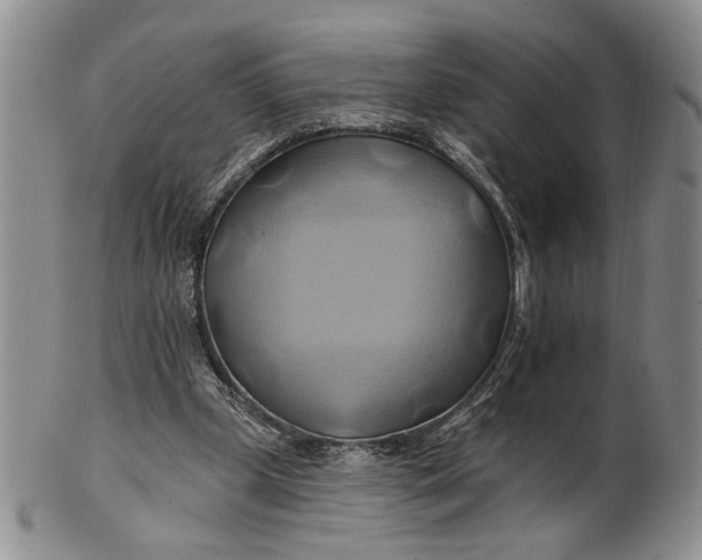 X0000100780249200807101823