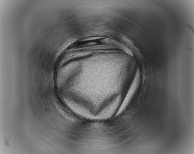 X0000100780250200807101823