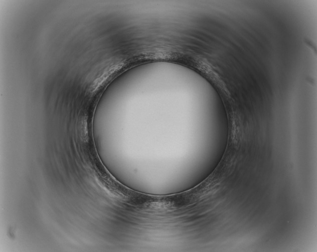 X0000100780251200807101823
