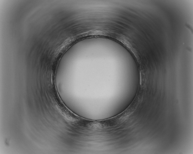 X0000100780253200807101823