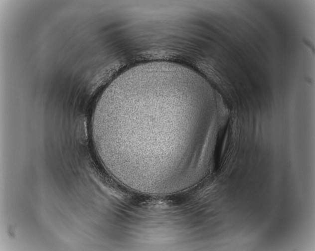 X0000100780254200807101823