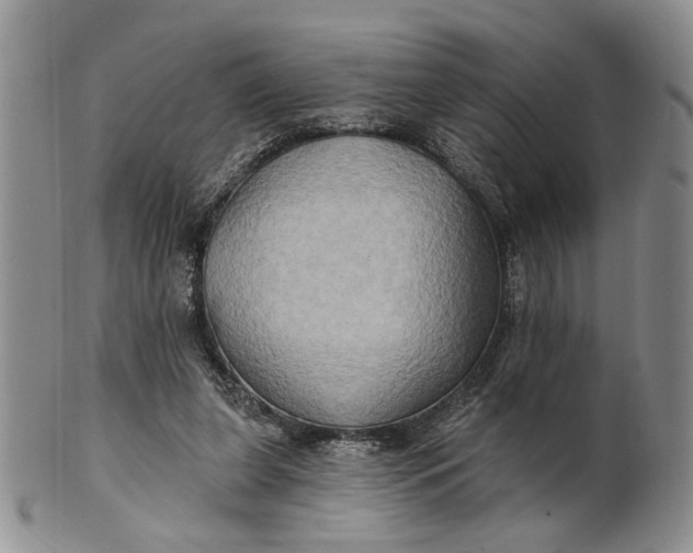 X0000100780255200807101823