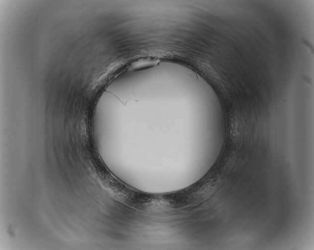 X0000100780256200807101823