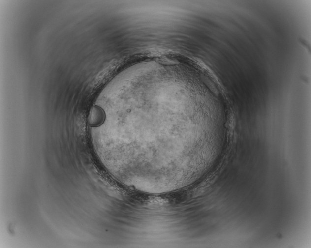 X0000100780257200807101823