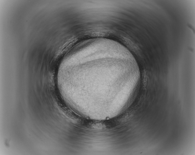 X0000100780258200807101823