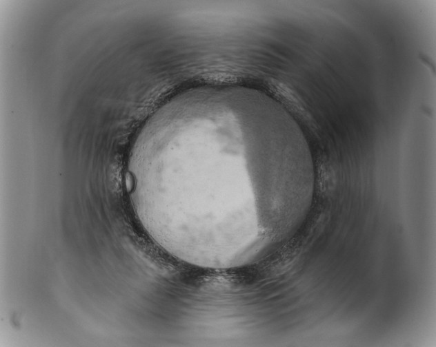 X0000100780259200807101823