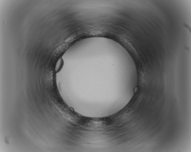 X0000100780260200807101823