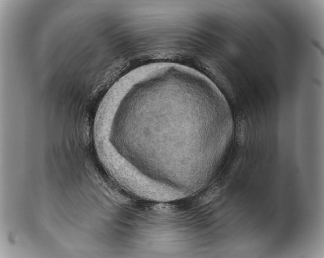 X0000100780261200807101823