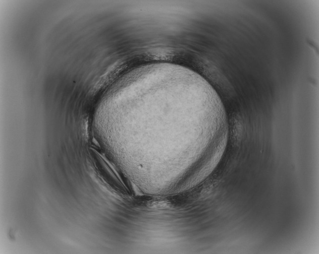 X0000100780262200807101823
