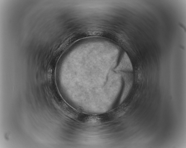 X0000100780263200807101823