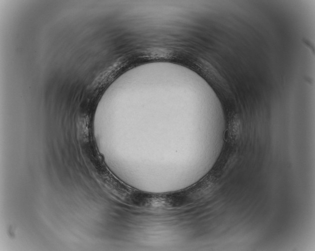 X0000100780264200807101823