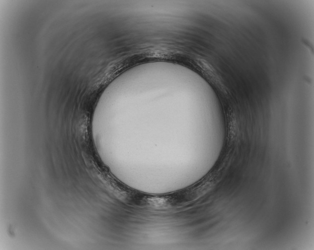 X0000100780265200807101823