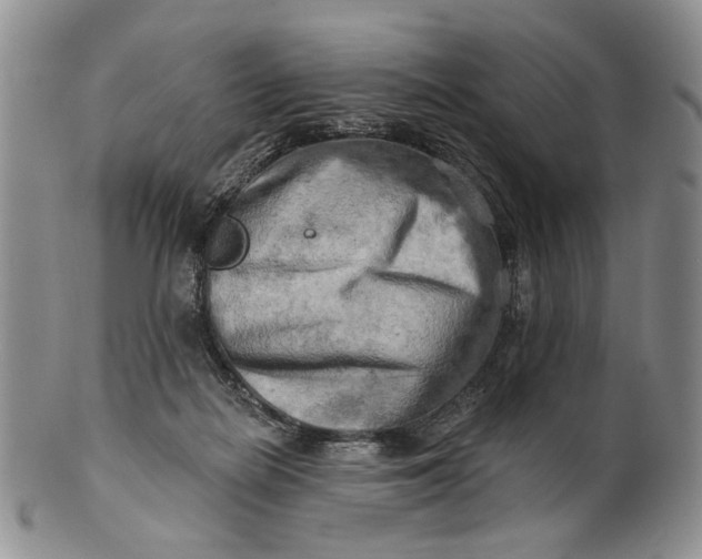 X0000100780266200807101823
