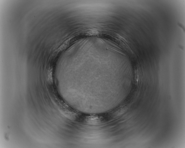 X0000100780267200807101823