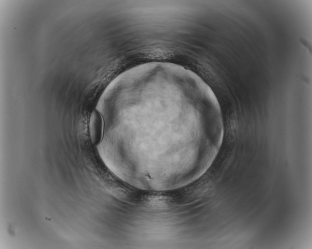 X0000100780268200807101823