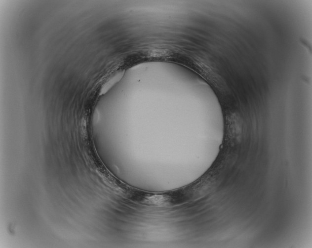 X0000100780269200807101823