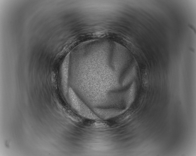 X0000100780270200807101823