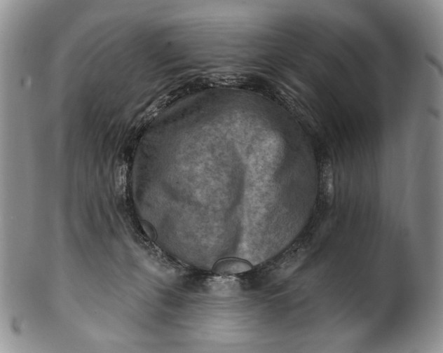 X0000100780271200807101823