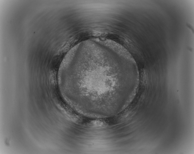 X0000100780272200807101823
