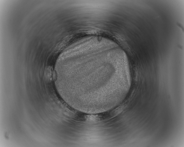 X0000100780273200807101823