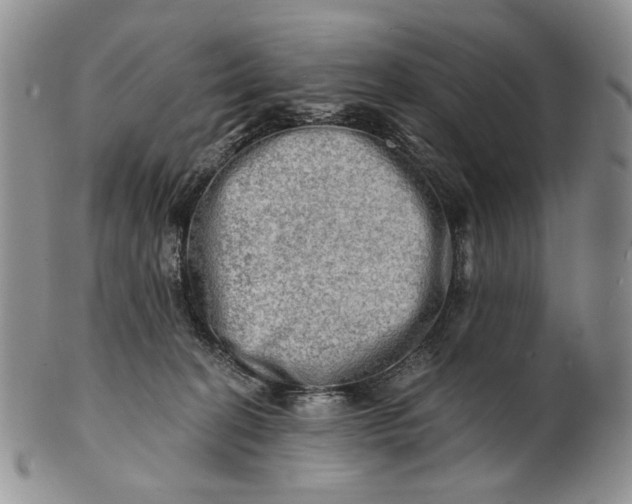 X0000100780274200807101823