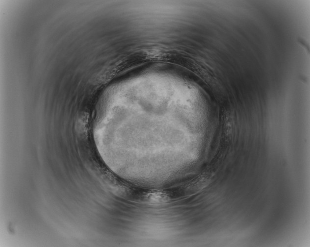 X0000100780275200807101823