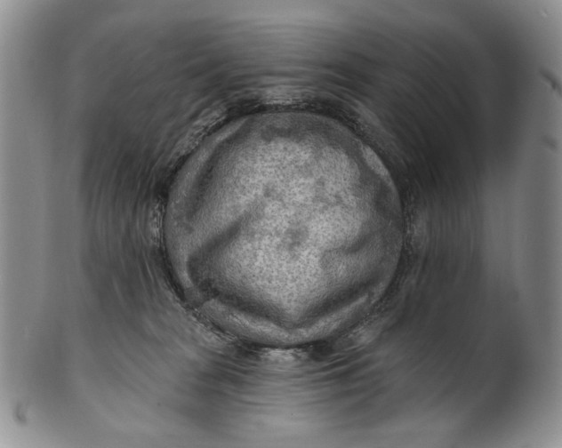 X0000100780277200807101823