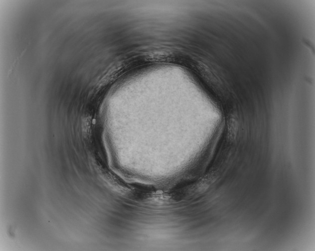 X0000100780278200807101823