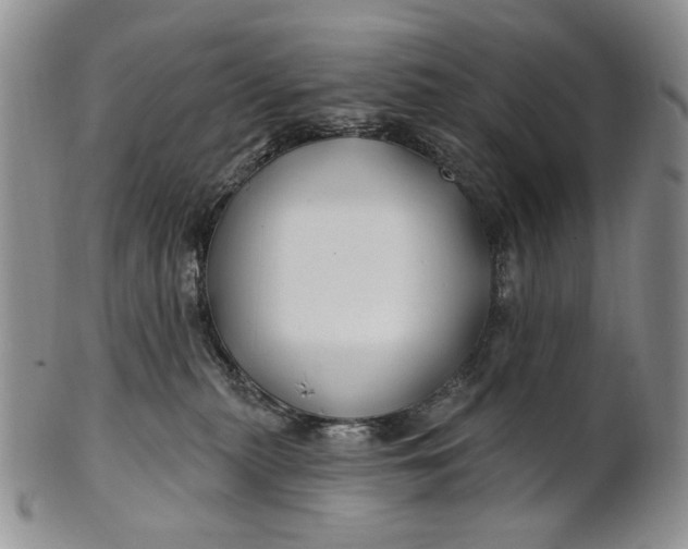 X0000100780279200807101823