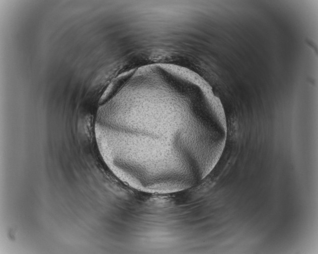 X0000100780280200807101823