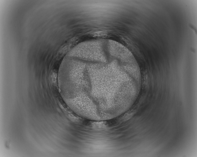 X0000100780281200807101823