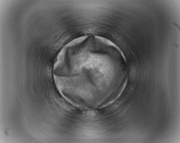 X0000100780282200807101823
