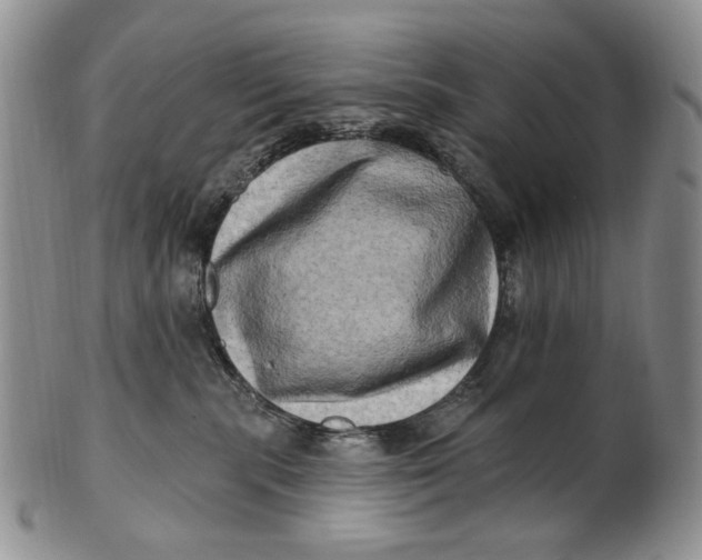 X0000100780283200807101824