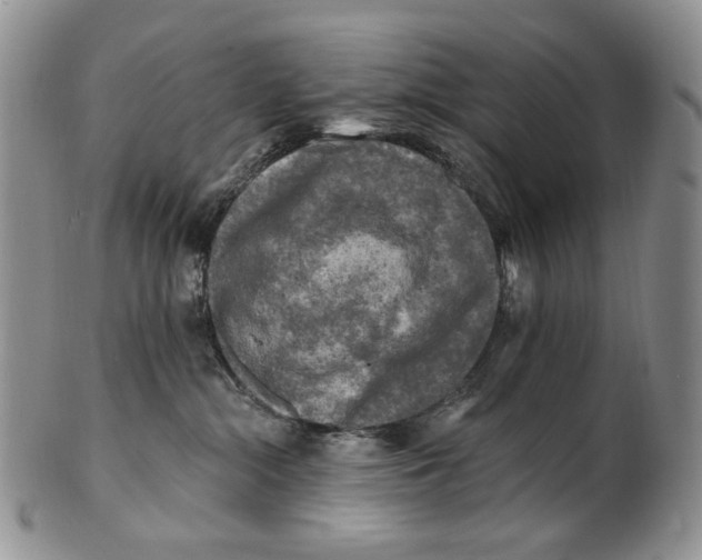 X0000100780284200807101824